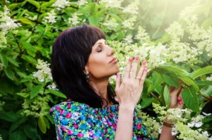 encyklopedia zapachów "Jak pachnie...?" to przewodnik po świecie zapachów
