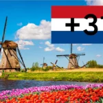 Kierunkowy +31, czyli Holandia