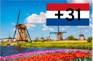 Kierunkowy +31, czyli Holandia